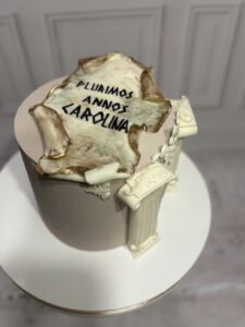 Tort urodzinowy dla Karoliny